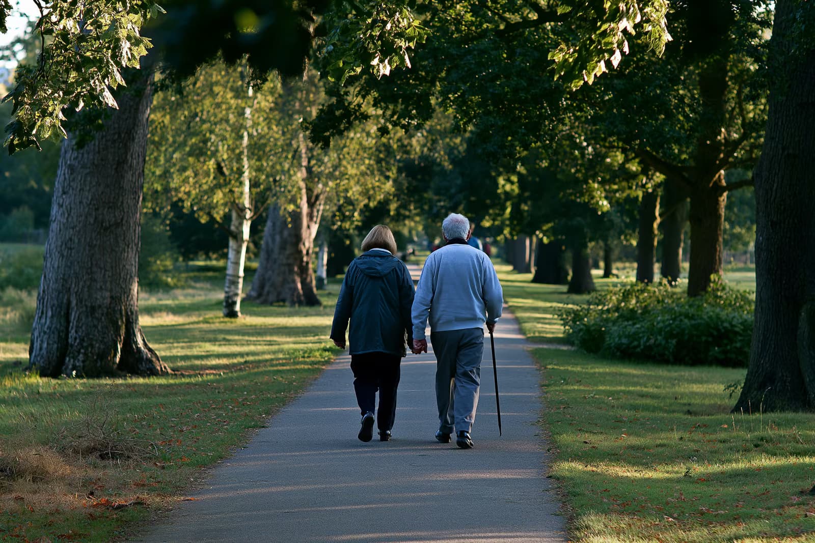 Una pareja de ancianos paseando juntos por un parque soleado, vista desde atrás.