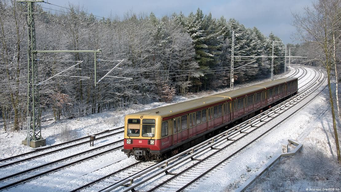 Tren 485